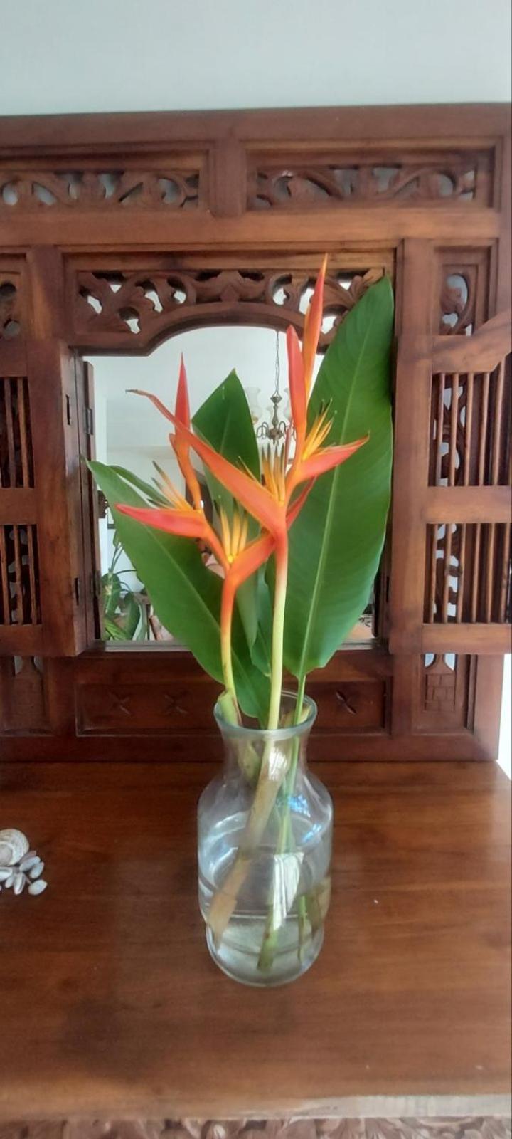 Residence71Nadi Fiji Eksteriør billede