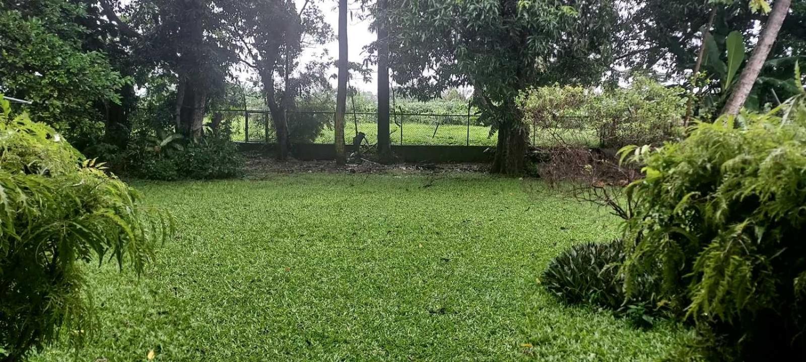 Residence71Nadi Fiji Eksteriør billede
